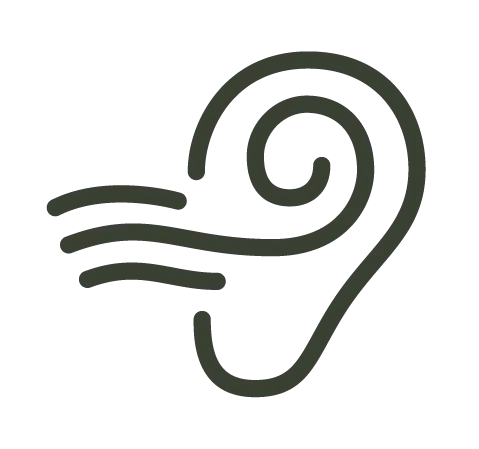 Logo Zephyr Audition anthracite