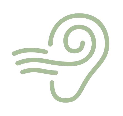 Logo Zephyr Audition vert